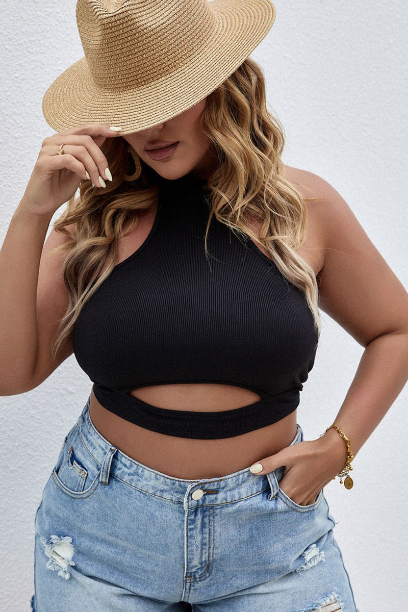 Plus Size Cutout Ribbed Sleeveless Cropped Top
